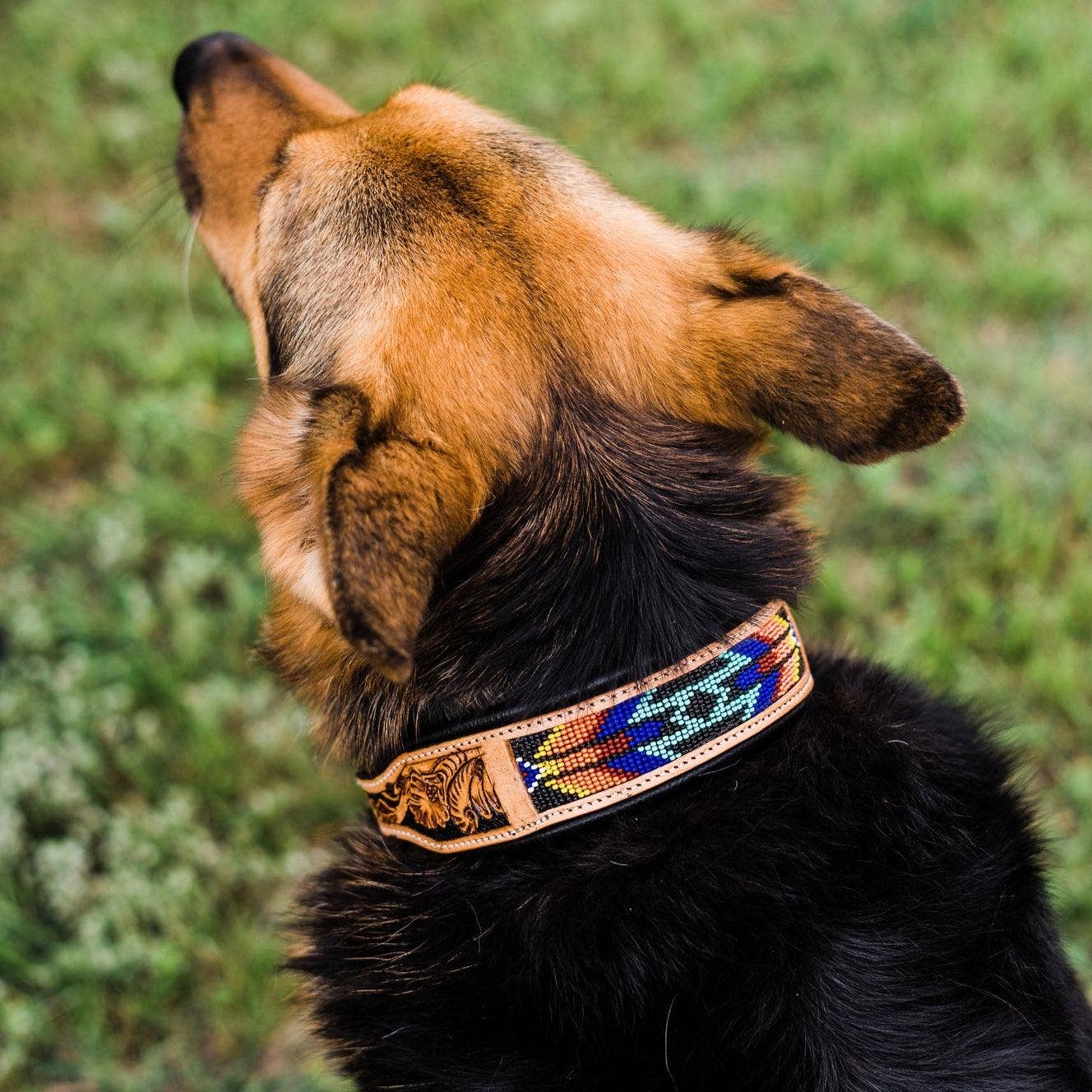 Black Beaded Dog Collar