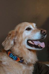 Black Beaded Dog Collar