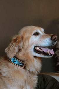Blue Beaded Dog Collar