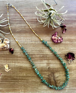 Load image into Gallery viewer, Turquoise Chips Long Necklace
