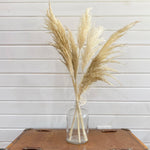 Load image into Gallery viewer, Pampas Grass- Dried/Natural
