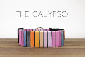 The Calypso / Black Buckle