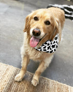 Load image into Gallery viewer, Holy Cow Dog Bandana
